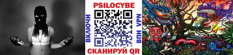Псилоцибиновые грибы MAGIC MUSHROOMS  блэк спрут как зайти  Карачаевск 
