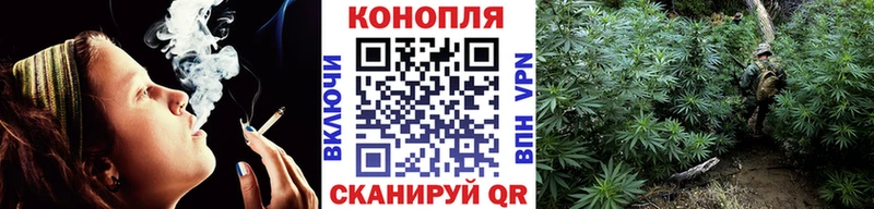 Бошки марихуана марихуана  Карачаевск 